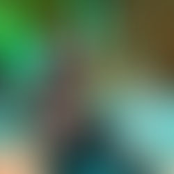 メンバーから皆様へ