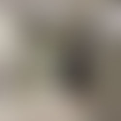 メンバーから皆様へ