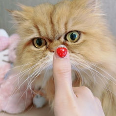 メンバーから皆様へ