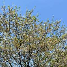 メンバーから皆様へ