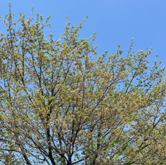 メンバーから皆様へ