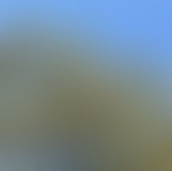 メンバーから皆様へ