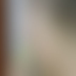 メンバーから皆様へ