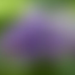 メンバーから皆様へ