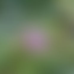 メンバーから皆様へ