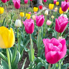 メンバーから皆様へ