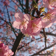 メンバーから皆様へ