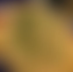 メンバーから皆様へ