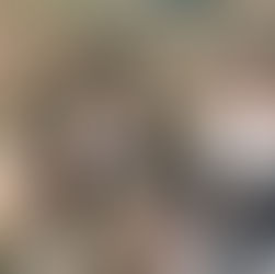 メンバーから皆様へ