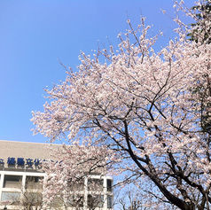 メンバーから皆様へ