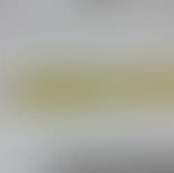 メンバーから皆様へ