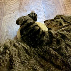 メンバーから皆様へ