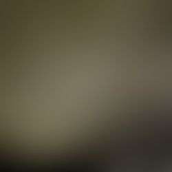 メンバーから皆様へ