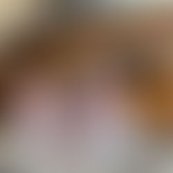 メンバーから皆様へ