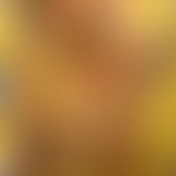 メンバーから皆様へ