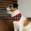 Thumbnail: Pet Bandana Collar