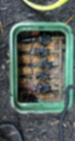 Cleaned Sprinkler Valves