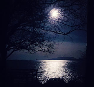 The Moon - It's In Your Cards