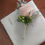 Thumbnail: Buttonholes, prices from...