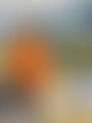 Mann in Warnweste mit Einkaufswagen auf Alpenstraße, daneben Text: DER LÄNGSTE EINKAUFSWEG 655 KM ÜBER DIE ALPEN.