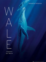 Buchcover "WALE. Giganten der Meere von Amandine Delaunay: Ein großer und ein kleiner Wal schwimmen im blauen Meer.