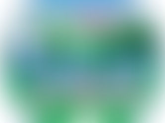 Best Furniture Store