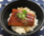 Unagi Don