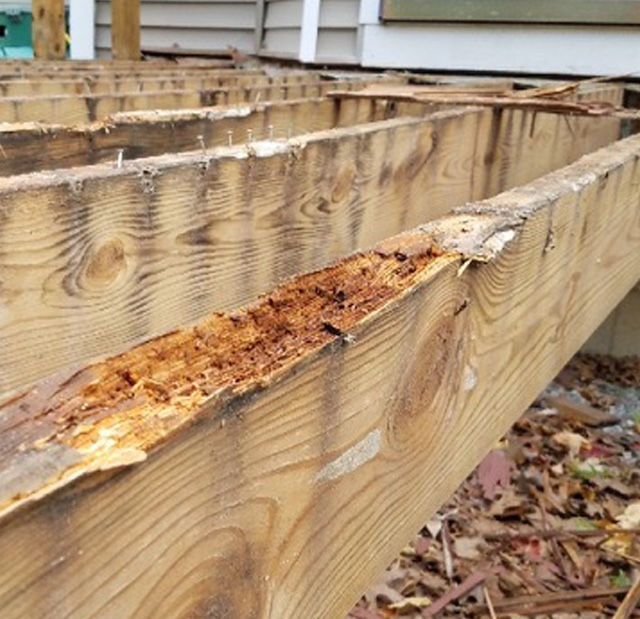 joist wood rot
