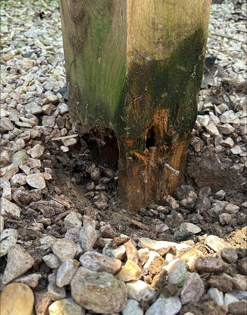 Deck post rot