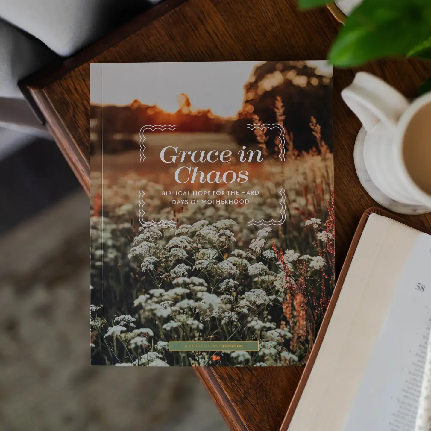 Grace In Chaos: A Mother's Bible Study