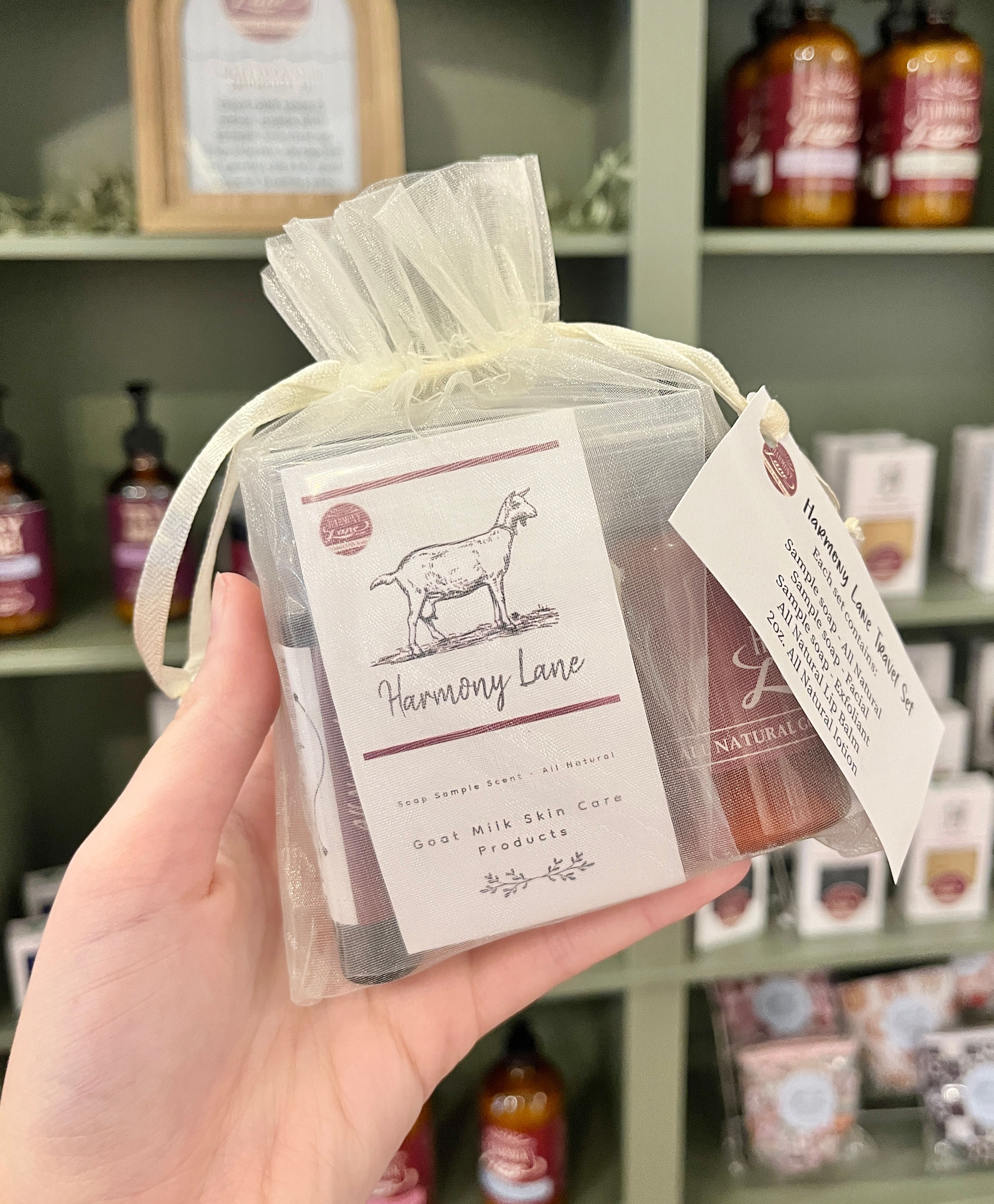Harmony Lane Travel Set