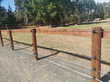 keeping a track grass-free