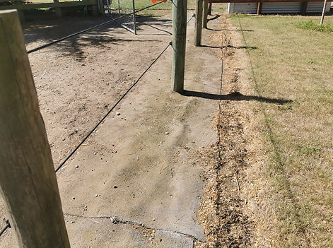 carpet placed on ground under fence lines