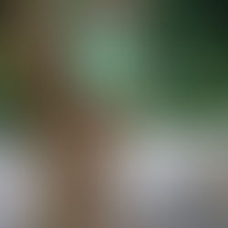 Treetoscope Raises $7 Million in Seed Funding to Revolutionize Precision Irrigation