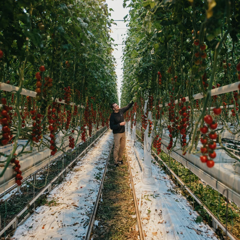 Source.ag Receives $27 Million in Series A Funding to Empower Growers with AI