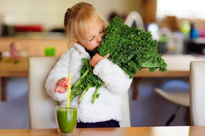 Novella Unveils Whole-Cell Cultivated Berry Phytonutrients with Groundbreaking Technology