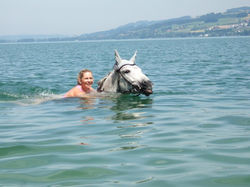 Schwimmen im Sempachersee