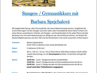 Stangenkurs Niederrohrdorf