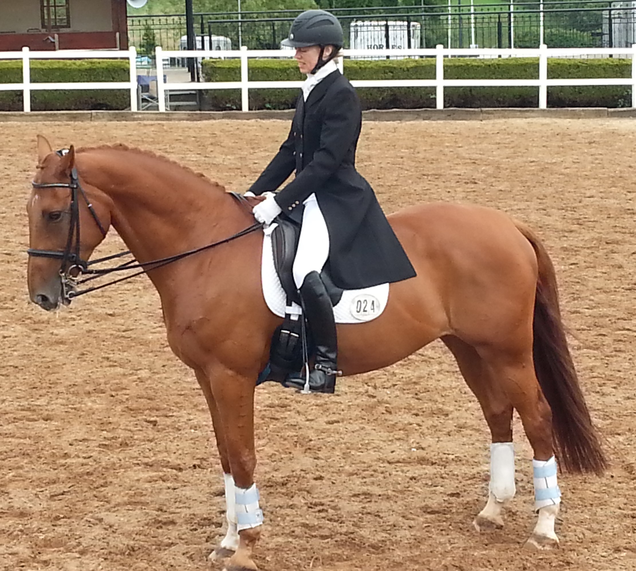 Writer: Meriel Moore-Colyer