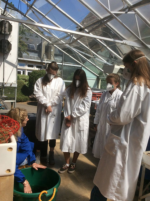 me with students in greenhouse_edited.jpg