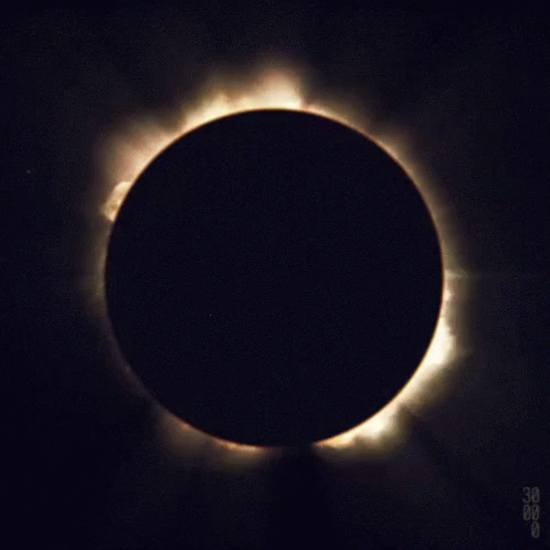 Circulo Movimento GIF1.gif