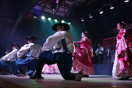 gaucha_banner.jpg