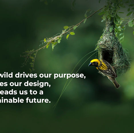 Lightweight Structures, Heavyweight Impact 