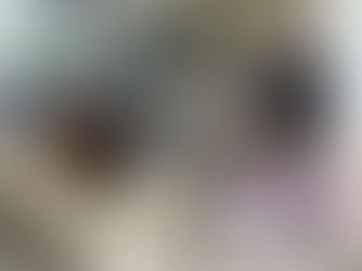 Bonny’s New Beginning. A Happily Homed Tail.