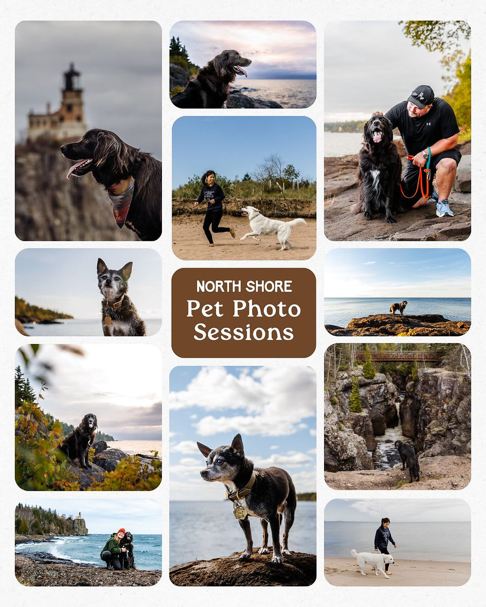 Promo Poster for North Shore Pet Photo Sessions