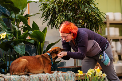 Behind the scenes photo from tonkadale foster photo event