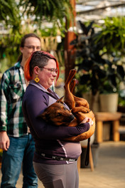 Behind the scenes photo from tonkadale foster photo event