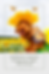 Dog in sunflower costume with butterfly wings in sunflower field. Text: Sunflower Costume Contest for Dogs: 2025 Recap. Mood: Cheerful.