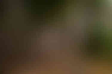 Bear Head Lake State Park