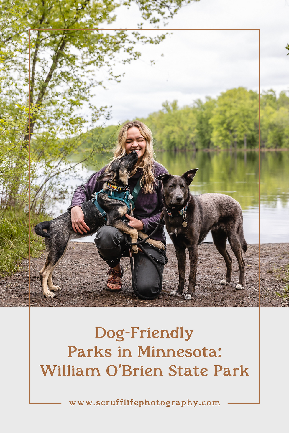 Dog-Friendly Parks in Minnesota: William O'Brien State Park